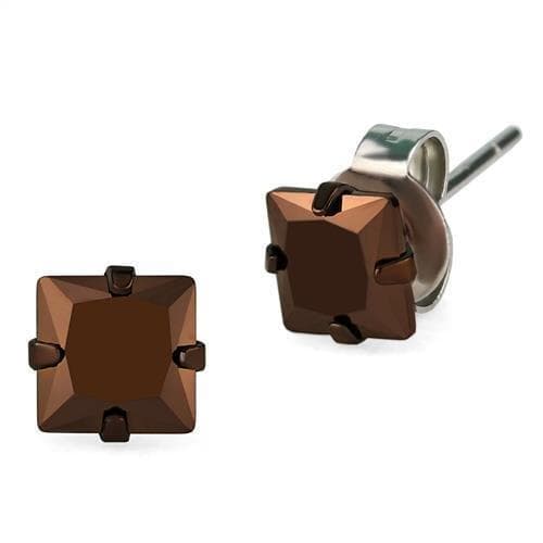 Stainless Steel Smoky Brown CZ Princess Prong Stud Earrings